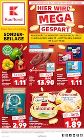 Aktueller Kaufland Prospekt mit Käse, "Sonderbeilage", Seite 1