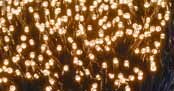 LED-Außenlichterkette bei BAUHAUS in Tübingen LED-Außenlichterkette im Angebot bei BAUHAUS Tübingen