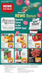 Der aktuelle REWE Prospekt Dein Markt