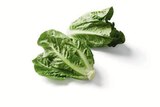 Mini Romana Salat bei Lidl im Cappel Prospekt für 0,89 €