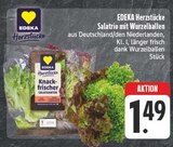 Aktuelles Salatrio mit Wurzelballen Angebot bei EDEKA in Leipzig ab 1,49 €