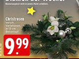 Christrosen Angebote bei EDEKA Königswinter für 9,99 €