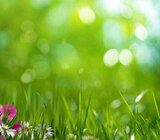 UHD OLED TV S85F Serie im Angebot bei expert in Kaufbeuren UHD OLED TV S85F Serie Angebote von Samsung bei expert Kaufbeuren für 619,00 €