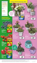 Blaubeeren Angebot im aktuellen Lidl Prospekt auf Seite 7