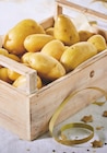 Promo Pomme de terre de consommation à chair ferme à 1,59 € dans le catalogue Intermarché Super à Mondreville