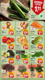 Pfifferlinge im REWE Prospekt in Frechen Aktueller REWE Prospekt mit Pfifferlinge, "Dein Markt", Seite 9