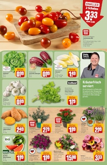Blumen im aktuellen REWE Prospekt (Hamburg) Blumen im REWE Prospekt "Dein Markt" mit 38 Seiten (Hamburg)