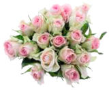 Moosrosen bei EDEKA im Osterby Prospekt für 2,99 €