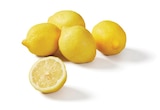 Lidl Frouard - Promo Citron Promo Citron à 0,99 € dans le catalogue Lidl à Frouard