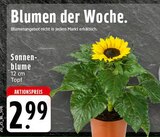 Angebot im EDEKA Rheda-Wiedenbrück Prospekt EDEKA Rheda-Wiedenbrück Prospekt mit im Angebot für 2,99 €