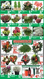 Weihnachtsdeko im Wreesmann Prospekt in Cuxhaven Aktueller Wreesmann Prospekt mit Weihnachtsdeko, "DEIN SAISON- & SONDERPOSTENMARKT!", Seite 3