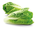 Bio Romana Salatherzen von REWE Bio für 1,49 € bei REWE im Angebot Bio Romana Salatherzen von REWE Bio im aktuellen REWE Prospekt