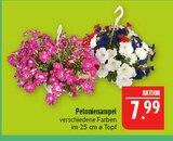 Petunienampel im Angebot bei Marktkauf in Schwabach Petunienampel Angebote bei Marktkauf Schwabach für 7,99 €