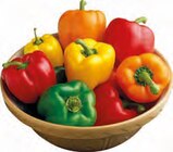 Paprika bei EDEKA im Prisdorf Prospekt für 0,59 €