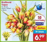 Großbund Tulpen im aktuellen Netto Marken-Discount Prospekt