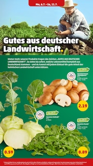 Champignons im aktuellen Penny Prospekt (Essen) Champignons im Penny Prospekt "Wer gĂĽnstig will, muss Penny." mit 44 Seiten (Essen)