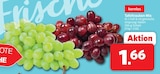 Tafeltrauben Mix im Angebot bei Markant Nordwest in Bremerhaven Tafeltrauben Mix Angebote bei Markant Nordwest Bremerhaven für 1,66 €