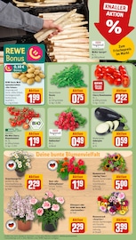 Pflanzen im REWE Prospekt in Pinneberg Aktueller REWE Prospekt mit Pflanzen, "Dein Markt", Seite 7