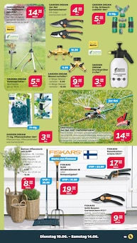 Blumentopf Angebot im aktuellen Netto mit dem Scottie Prospekt auf Seite 24