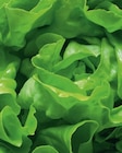 Angebot im Kaufland Amt Wachsenburg Prospekt Kaufland Amt Wachsenburg Prospekt mit im Angebot für 1,99 €