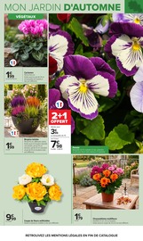 Promos Chrysanthèmes dans le catalogue "JARDIN" de Carrefour Chrysanthèmes en promo dans le catalogue Carrefour à la page 3