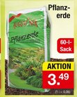 Aktuelles Pflanzerde Angebot bei Zimmermann in Wiesbaden ab 3,49 €