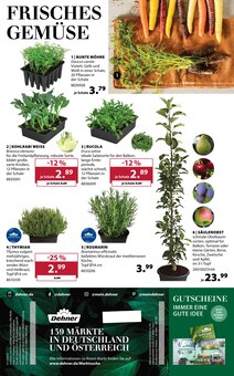 Salat im Dehner Garten-Center Prospekt "Aktuelle Angebote" mit 16 Seiten (Duisburg)