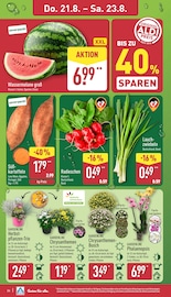 Aktueller ALDI Nord Prospekt mit Orchidee, "Aktuelle Angebote", Seite 26