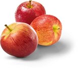 Aktuelle Äpfel Angebote bei Netto Marken-Discount in Mülheim (Ruhr) Aktuelles Äpfel rot Angebot bei Netto Marken-Discount in Mülheim (Ruhr) ab 1,49 €