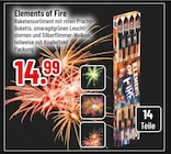 Elements of Fire im aktuellen Trinkgut Prospekt für 14,99 €