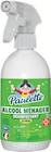 Pistolet Alcool ménager citron - PAULETTE - Intermarché Super à Montbéliard Pistolet Alcool ménager citron - PAULETTE en promo chez Intermarché Super Montbéliard à 5,50 €
