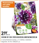 FRÜHJAHRSBLUMENZWIEBELN Angebote von GROW BY OBI bei OBI Bremerhaven für 2,99 €