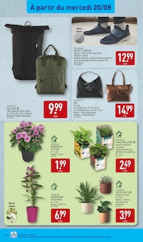 Promo Plante D'intérieur dans le catalogue Aldi du moment à la page 34