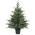 Aktuelles Topfpflanze, künstlich drinnen/draußen/Weihnachtsbaum grün Angebot bei IKEA in Duisburg ab 14,99 €