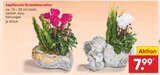 bepflanzte Grabdekoration im Angebot bei Netto Marken-Discount in Albstadt bepflanzte Grabdekoration Angebote bei Netto Marken-Discount Albstadt für 7,99 €