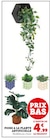 Promo Foire à la plante artificielle à 4,99 € dans le catalogue Super U à Grez-Neuville