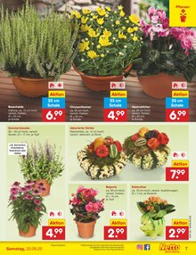 Gemüse im Netto Marken-Discount Prospekt "Aktuelle Angebote" mit 60 Seiten (Bochum)