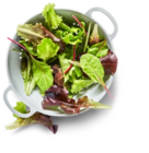 Ital. Rucola bei Kaufland im Pfullingen Prospekt für 0,79 €