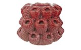 HOME STORY 3D Himbeeren Vase von HOME STORY für 19,99 € bei Möbel Kraft im Angebot HOME STORY 3D Himbeeren Vase von HOME STORY im aktuellen Möbel Kraft Prospekt