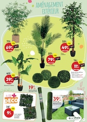 Promos Palmier dans le catalogue "PLEIN AIR" de Maxi Bazar Palmier en promo dans le catalogue Maxi Bazar à la page 17
