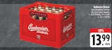Budweiser Budvar Angebote von Budweiser Budvar bei EDEKA Chemnitz für 13,99 €