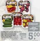 Snackster Mini Snackgurken Angebote von EDEKA Herzstücke bei E center Karlsruhe für 5,00 €