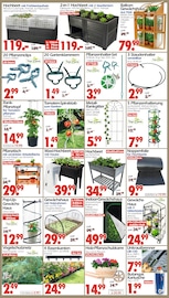 Blumentopf im Wreesmann Prospekt in Freiberg Aktueller Wreesmann Prospekt mit Blumentopf, "DEIN SAISON- & SONDERPOSTENMARKT!", Seite 6