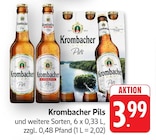 Aktuelles Pils Angebot bei EDEKA in Rastatt ab 3,99 €