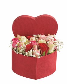 Herz Box