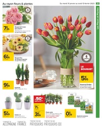 Offre Bricolage et Jardin dans le catalogue Carrefour du moment à la page 21