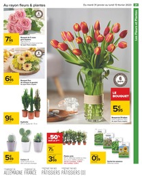 Prix et réduction Bricolage et Jardin dans le prospectus Carrefour en cours Offre Bricolage et Jardin dans le catalogue Carrefour du moment à la page 21