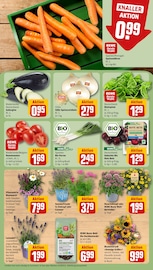 Aktueller REWE Prospekt mit Blumen, "Dein Markt", Seite 7