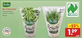 Aktuelle Kräuter Angebote bei Netto Marken-Discount in Duisburg Aktuelles Bio Kräutertopf Angebot bei Netto Marken-Discount in Duisburg ab 1,29 €