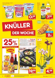 Aktueller Netto Marken-Discount Bad Köstritz Prospekt "Aktuelle Angebote" mit 53 Seiten